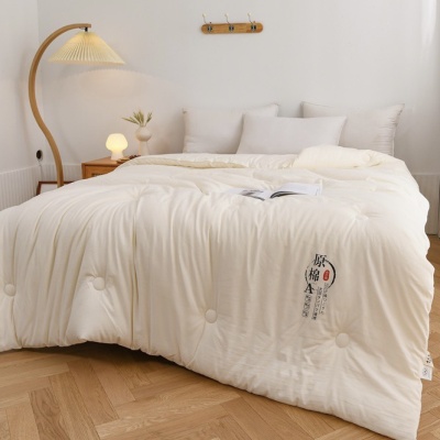 A类原棉大豆被 加厚春秋被大豆纤维被芯冬被被子礼品棉被直播代发