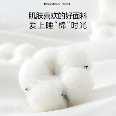 A类公主风全棉水洗棉四件套高精密蝴蝶刺绣纯棉被套床单床上用品4