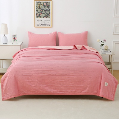 玉颜2025新款空调毯子凉感午睡毯薄款宿舍盖毯夏凉被素色礼品被