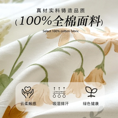 全棉床上四件套2025新款四季纯棉用品床纯棉被套单件家用被套