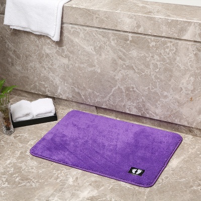 入户进门客厅卧室直毛绒地毯地垫浴室吸水防滑垫厨房脚垫跨境批发