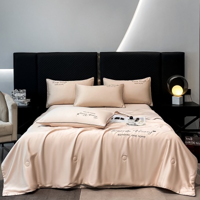 绣花款夏季轻奢水洗天丝凉感空调被四件套可机洗水洗家用夏被礼品