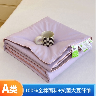 A类全棉大豆夏凉被透气纯棉可洗夏被夏季空调被学生被夏季礼品被