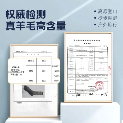 美利奴羊毛袜加厚保暖中筒袜防滑防臭毛圈袜子户外运动登山滑雪袜