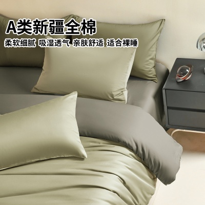 120支全棉四件套100纯棉被套床单高级感新疆长绒棉床笠款床上用品