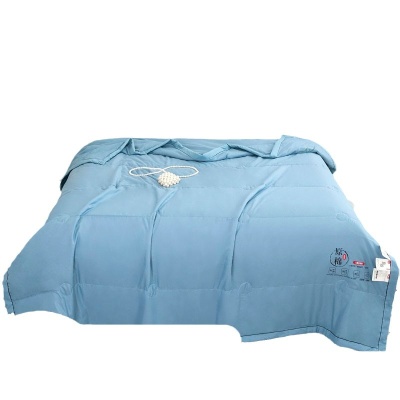 原棉大豆a类夏被空调被薄款单双人夏凉被批发夏天被子被芯礼品