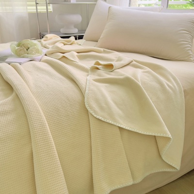 华夫格牛奶绒毛毯午睡小毯子沙发毯盖毯冬季办公室学生披肩毯子